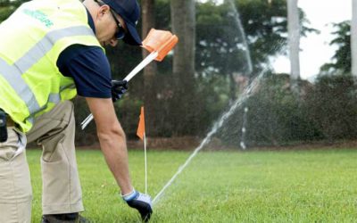 The Drip: Irrigation During Dry Conditions