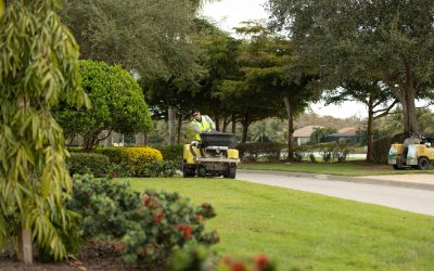 Hiring a Landscape Professional